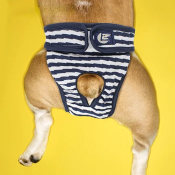 2022 Köpek Yıkanabilir Köpek Şort Külot Menstruasyon İç Çamaşırı Külot Tulum Pet Fizyolojik Pantolon Bezi Sıhhi
