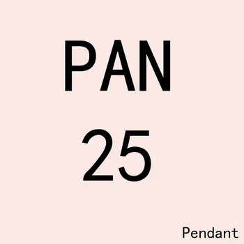 PAN DZ 25