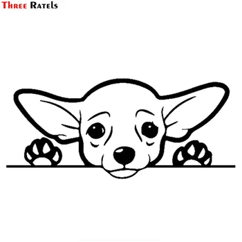 Üç Ratels FTZ-176# 20x9 cm Sevimli Chihuahua Köpek Vinil çıkartma / Otomobil Kamyon Van Suv Windows Duvarlar Bardak Dizüstü Bilgisayarlar